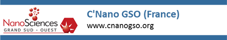 NanoSciences Grand Sud - Ouest